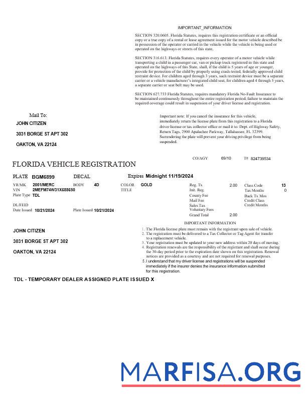 Printable USA Florida vehicle registration template in Word and PDF formats